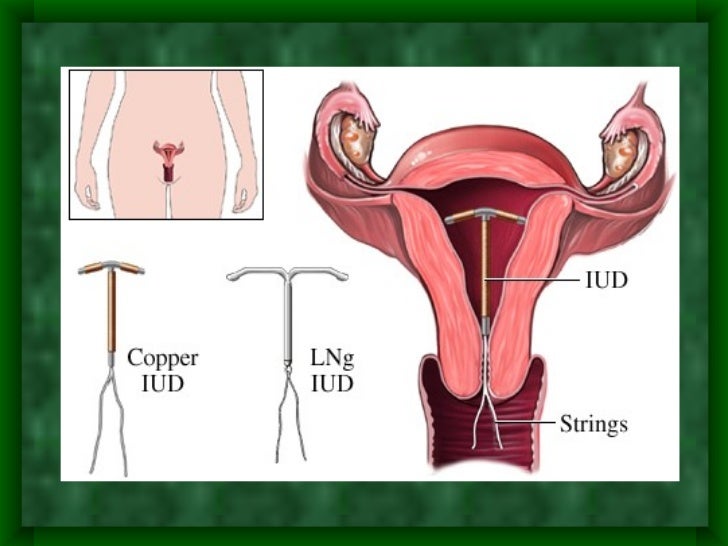 sexual intercors techniques Angelina jolie cannes breast picture